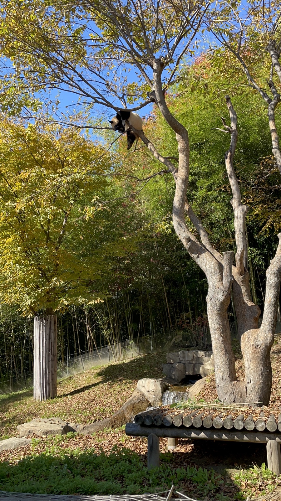 스카이게임장 이미지