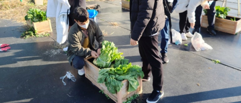 청아중학교 이미지