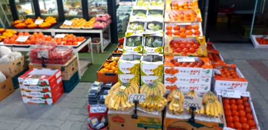 과일천국 이미지