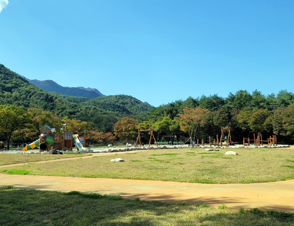 사계절 야영장 이미지