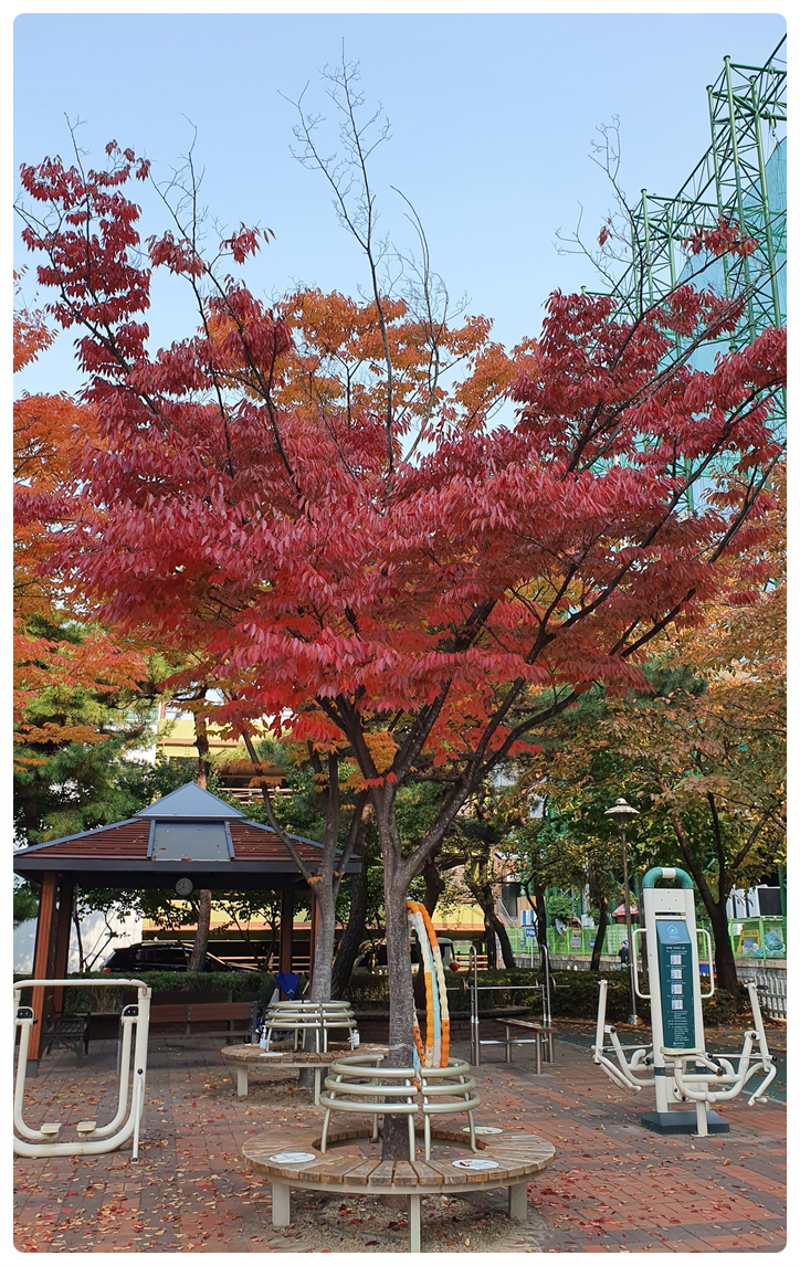 삼부그린스포츠센터 이미지