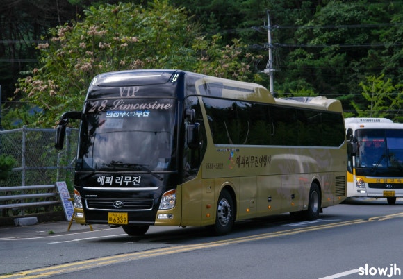 뉴해피여행사 이미지