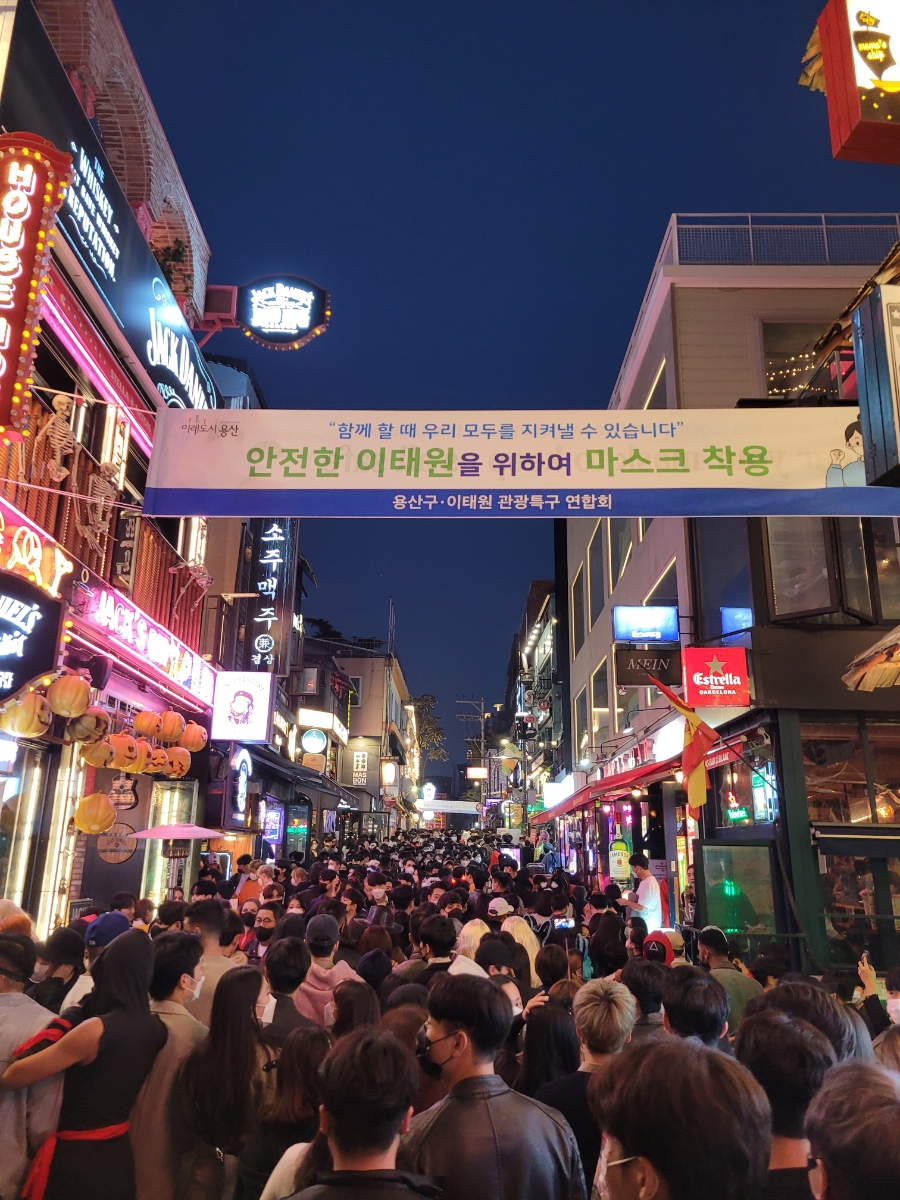 오징어데이 이미지