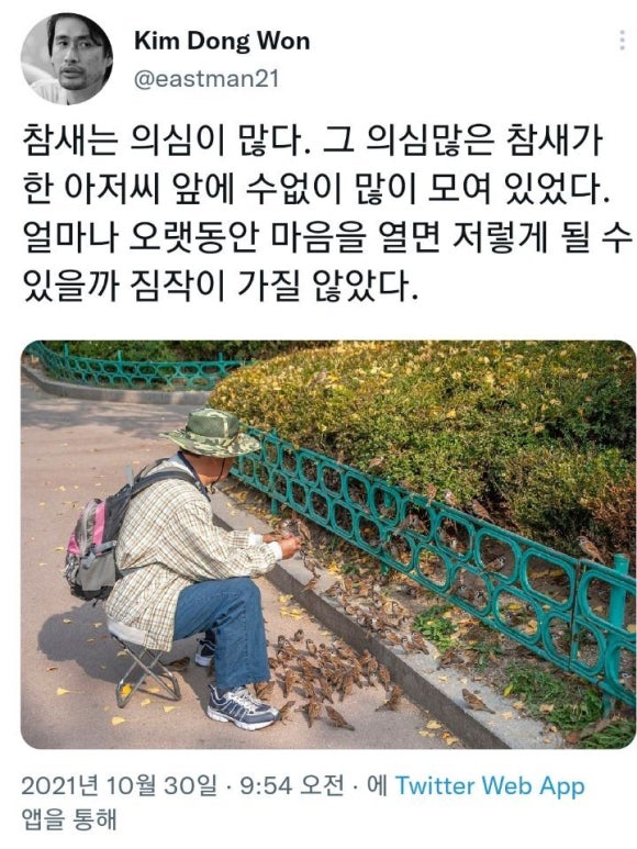 타코비 이미지