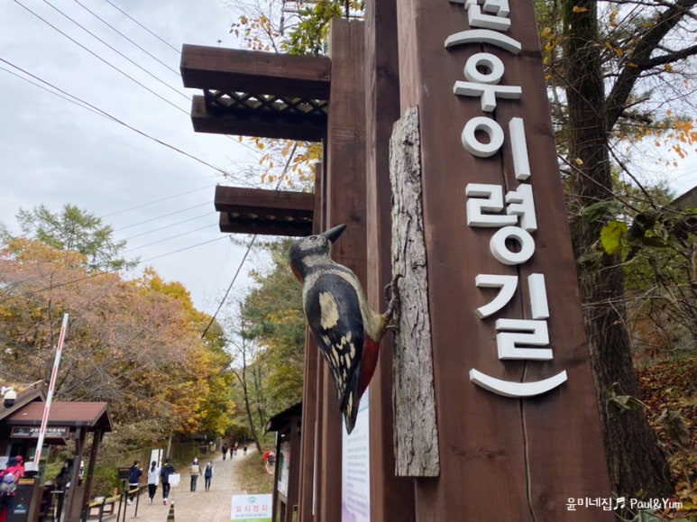 포토포인트 이미지