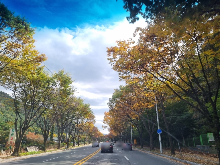 서촌92육칼 이미지