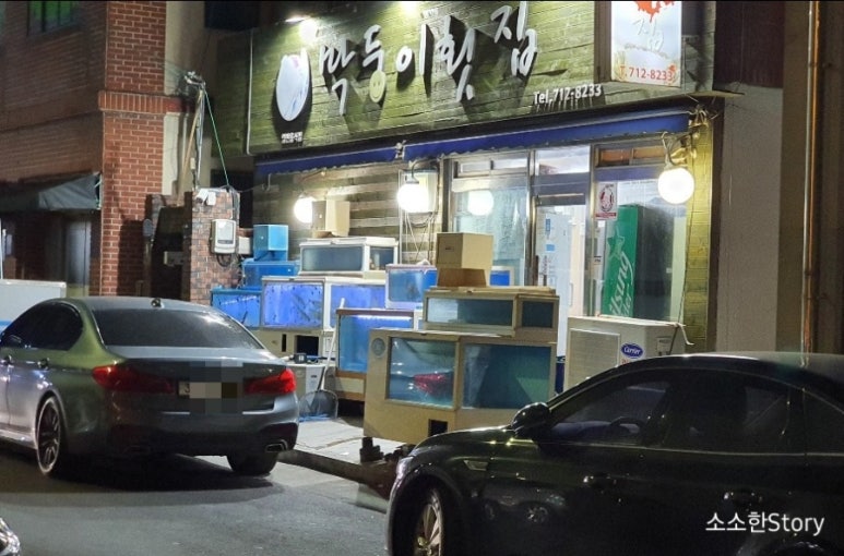 막둥이횟집 이미지
