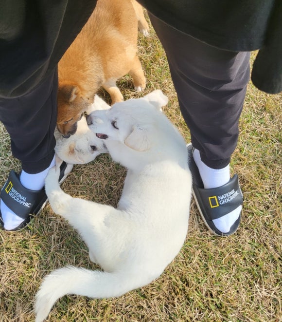 만수파크 이미지