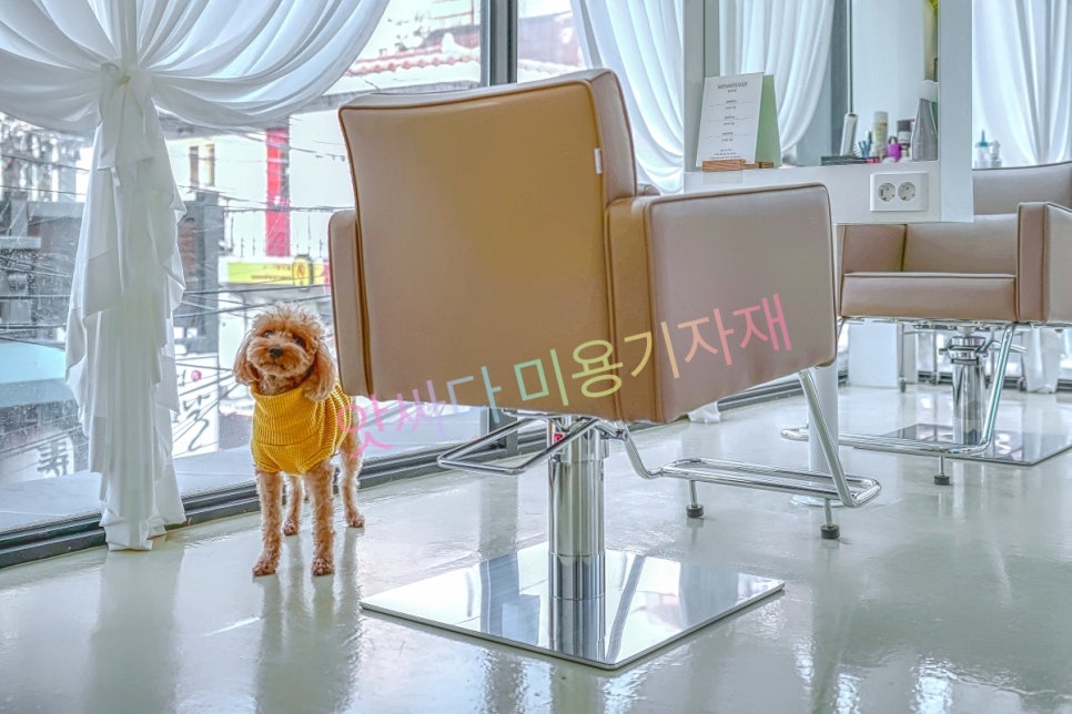 살롱드제니 이미지