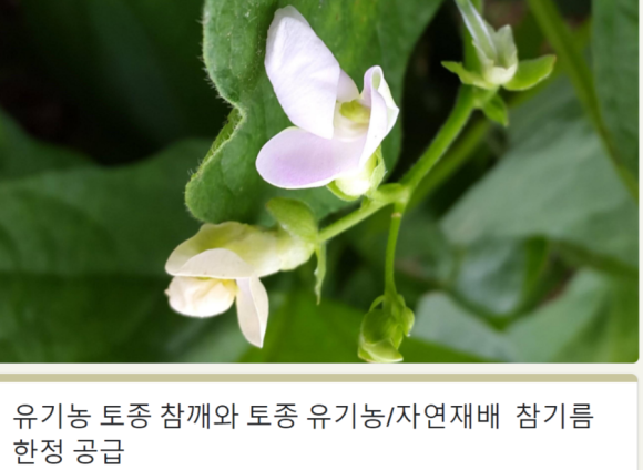 사단법인 가배울 이미지