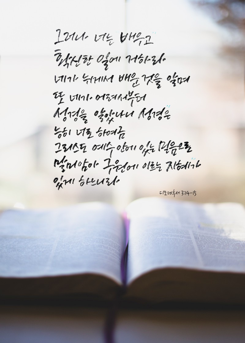 더사랑의교회 이미지