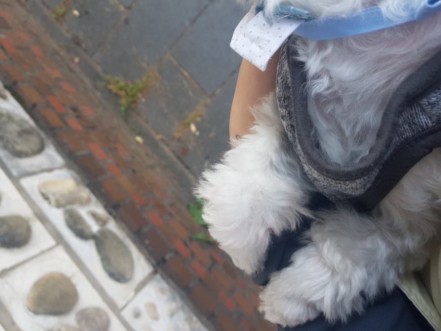 GS25해상공원 이미지