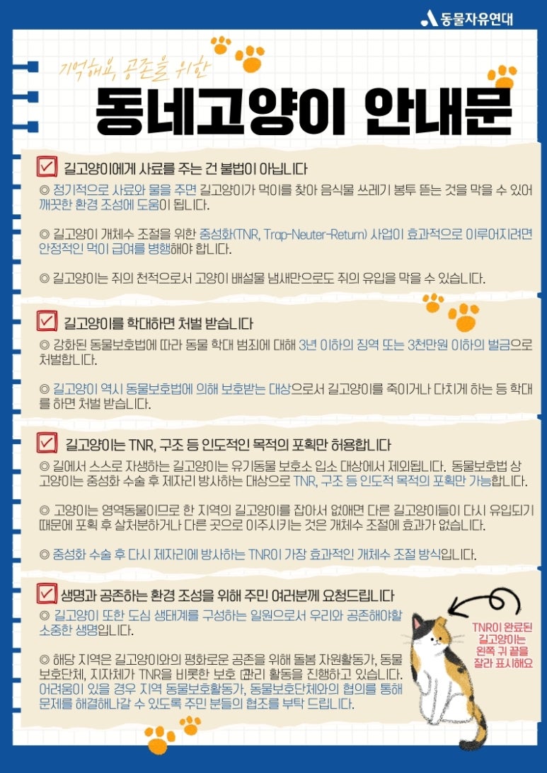 동네고양이 이미지