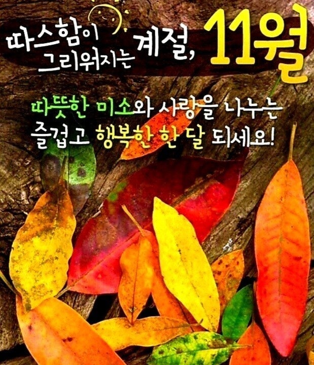 나무모아 이미지