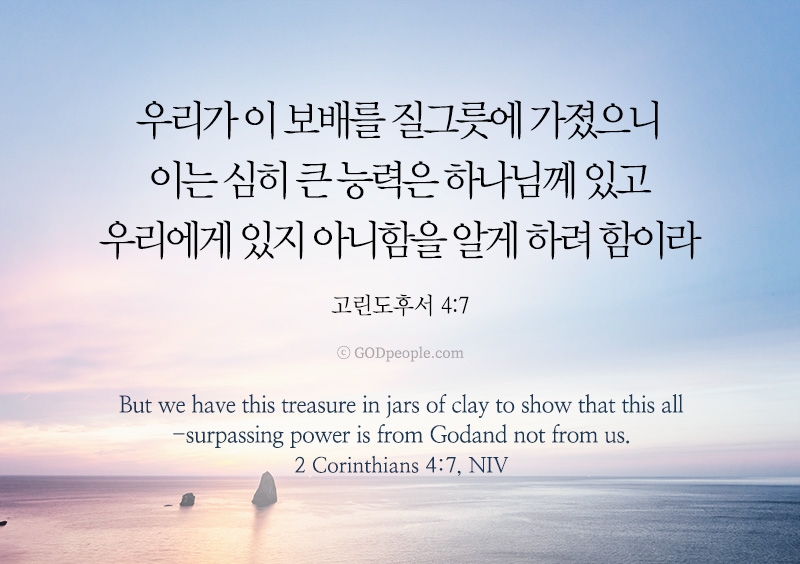 와이즈비젼 이미지