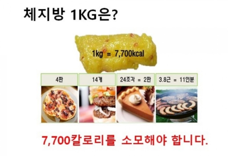 해피점핑하이 이미지