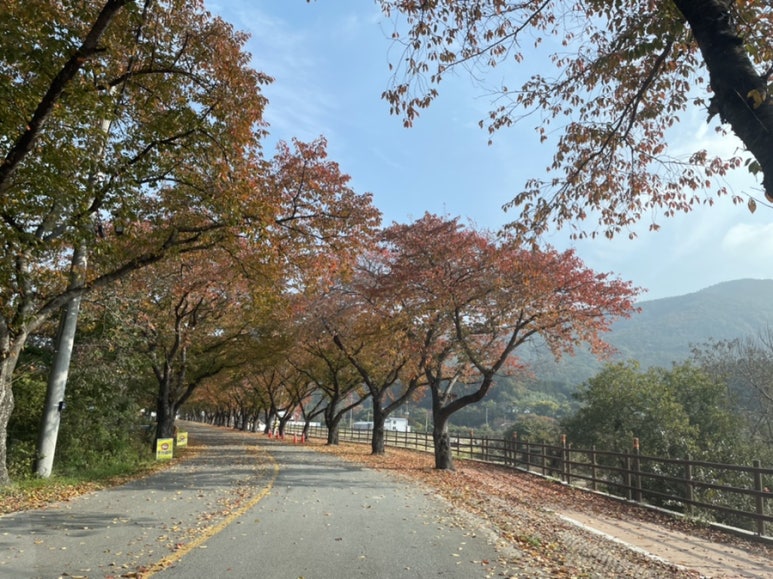 무장산식당 이미지
