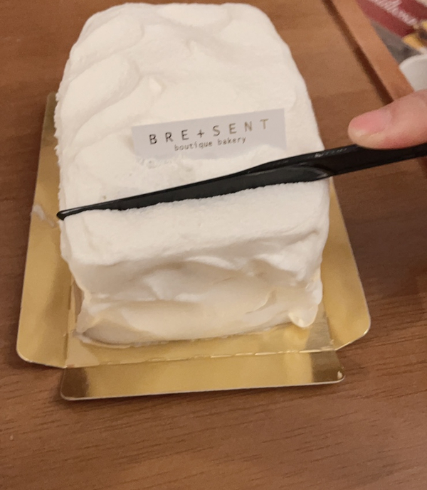 브레젠트(BRESENT) 이미지