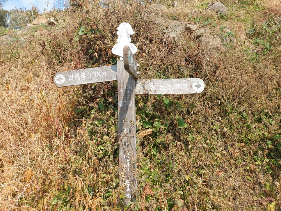 가나안농산 이미지