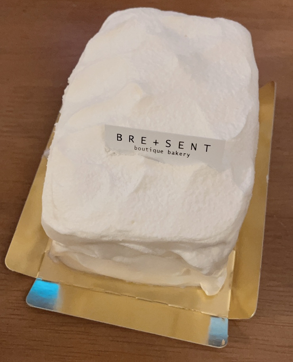 브레젠트(BRESENT) 이미지