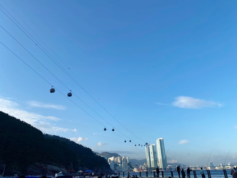 뚱보네 이미지