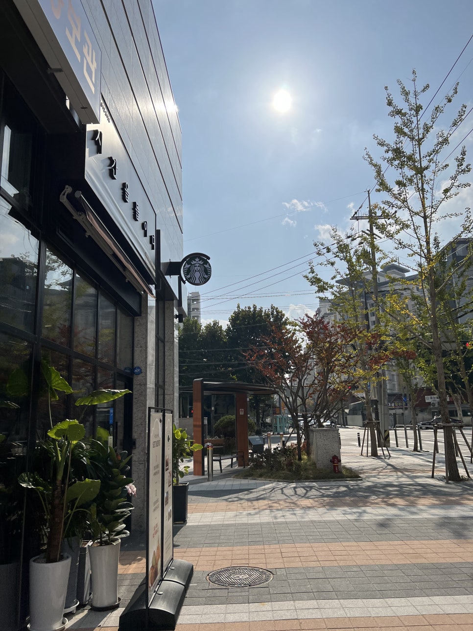스타벅스 서울양평역점 이미지
