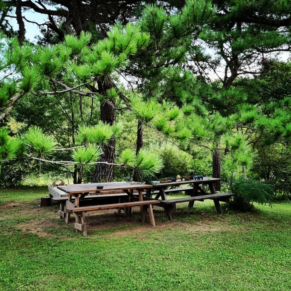 솔참도예공방 이미지