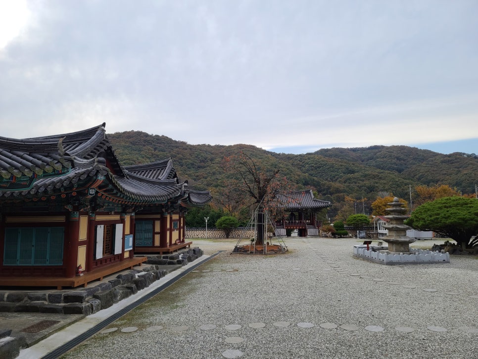 행정사사무소세종 이미지