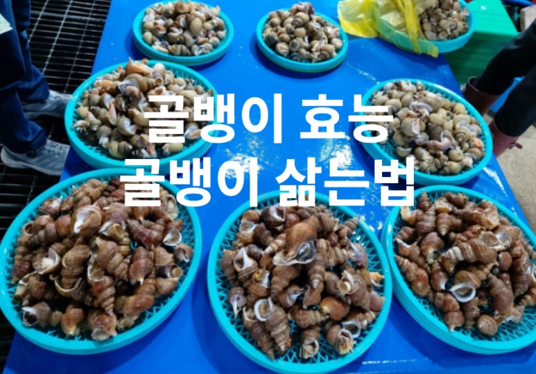 만만 생골뱅이 이미지