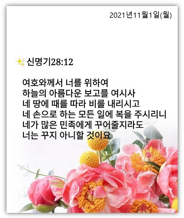 하늘보고 이미지