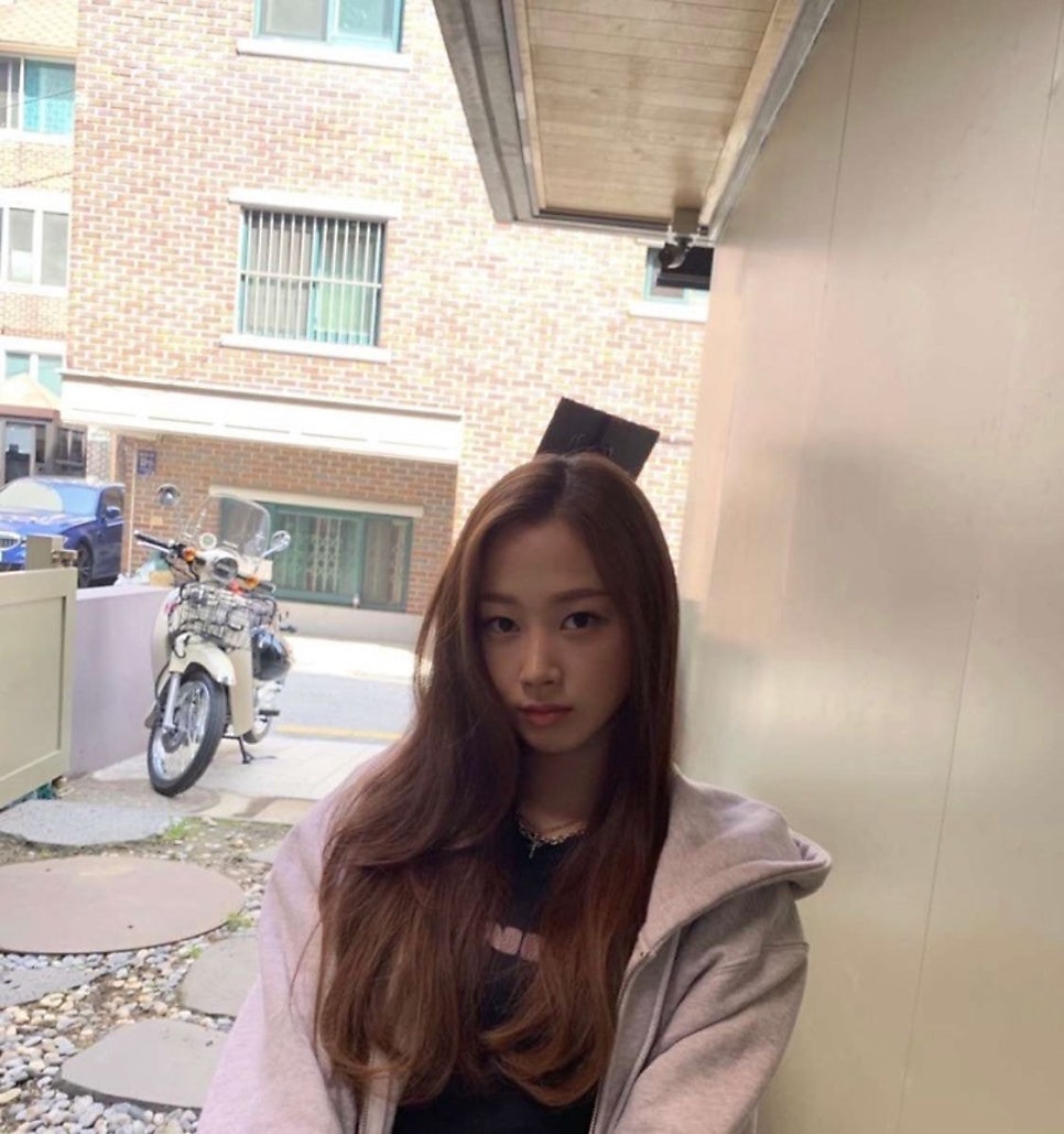 더지젤 이미지