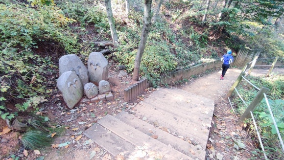 돌석이네 이미지