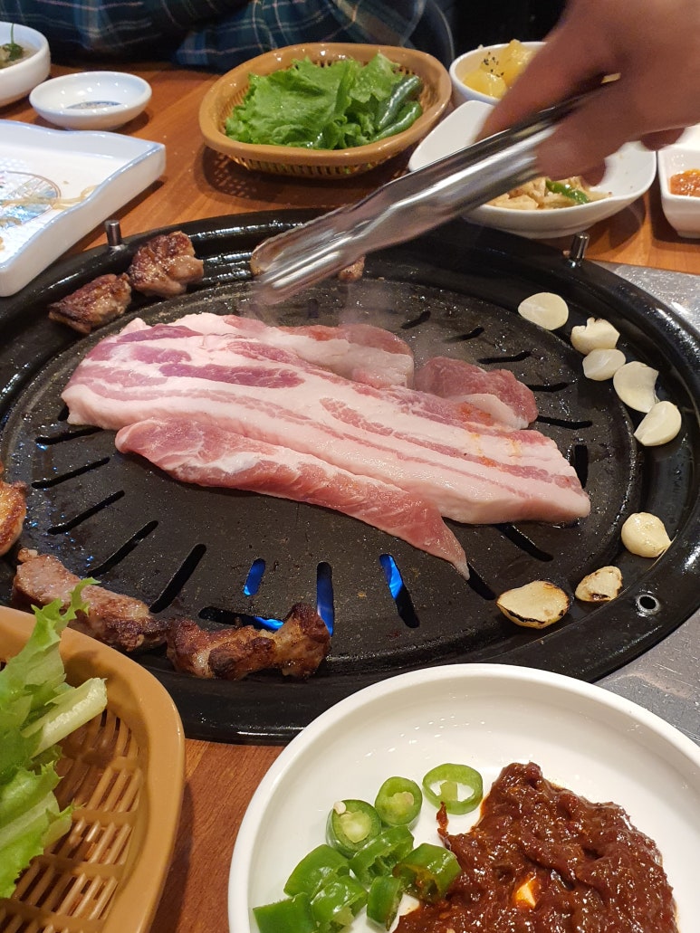 돼지먹고행복하소 이미지