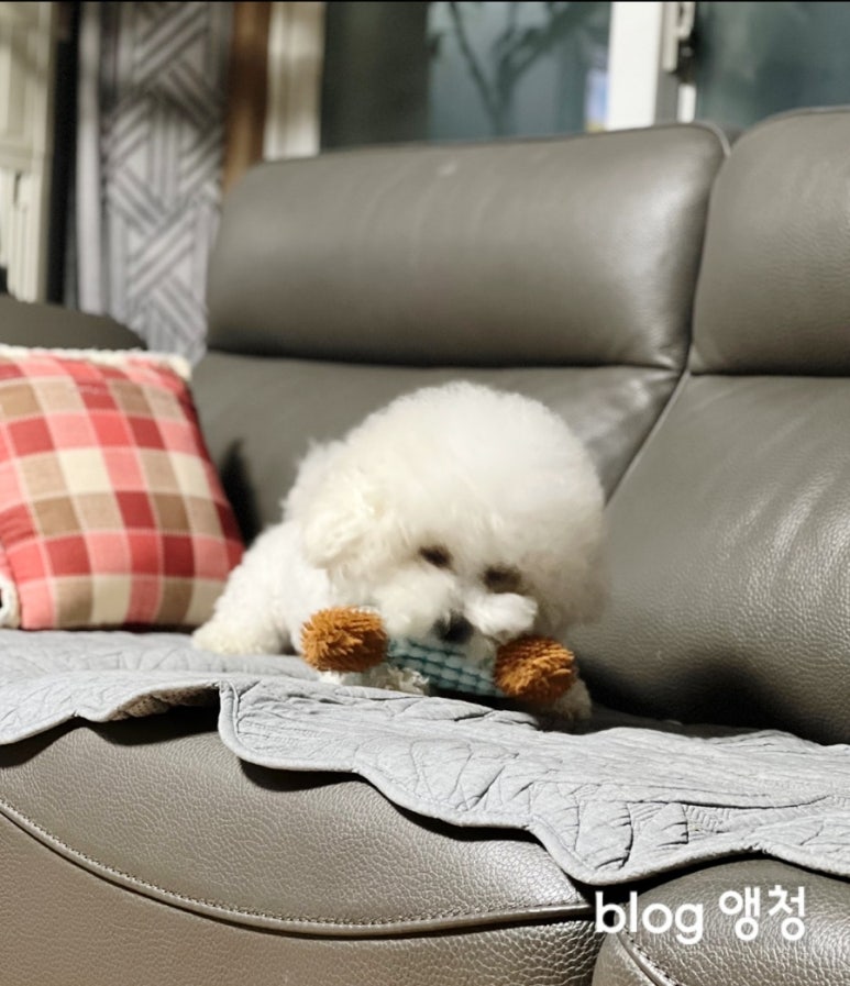 혜성쇼파 이미지