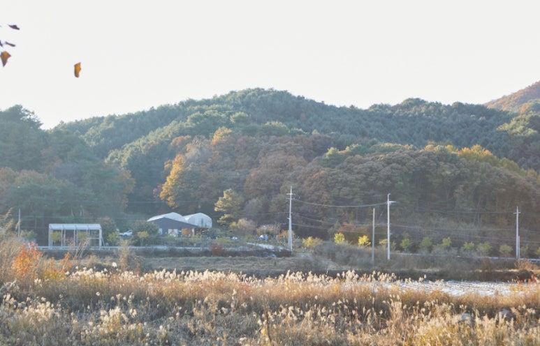 씨에프스튜디오 이미지