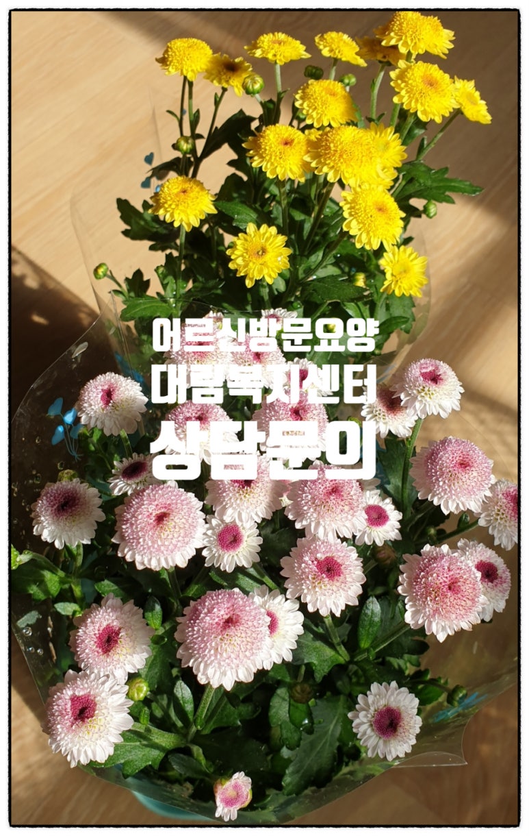정다운간병 이미지