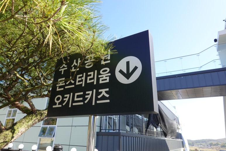 백일수산 이미지