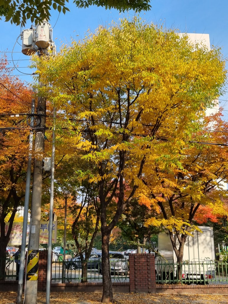 후생치과의원 이미지