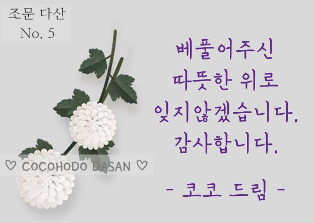 코코호도안산 이미지