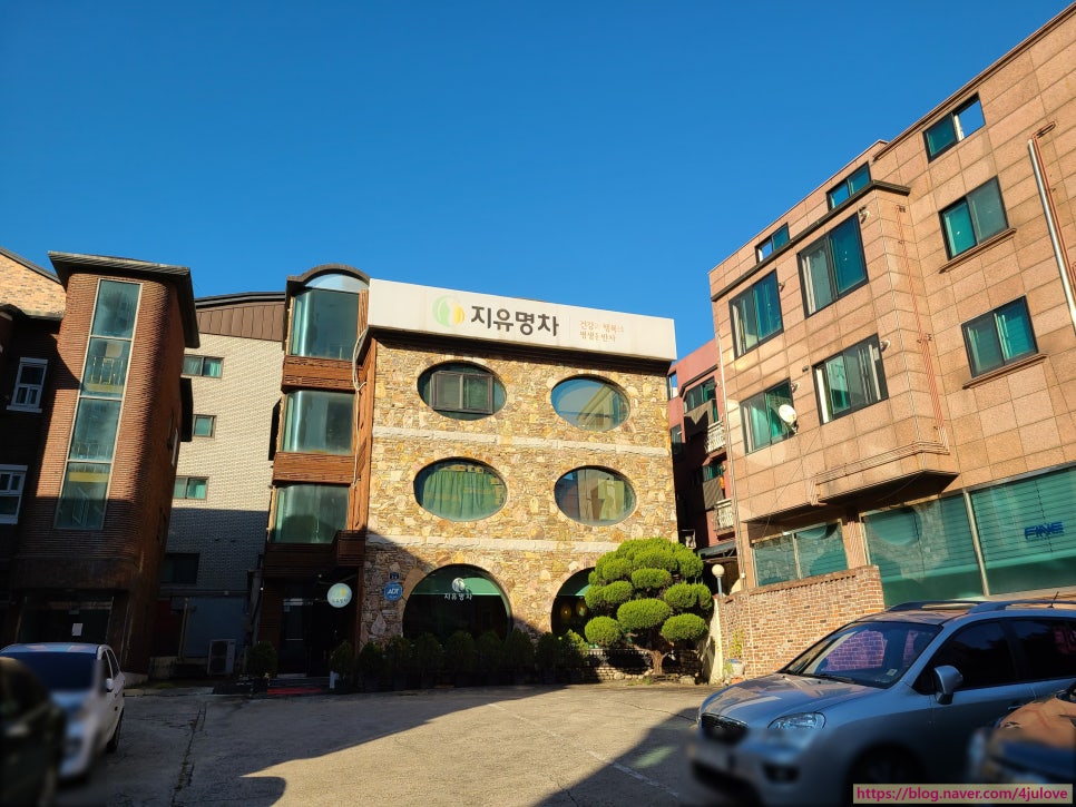 지유명차강남 이미지