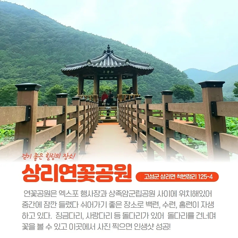 백련소을 이미지