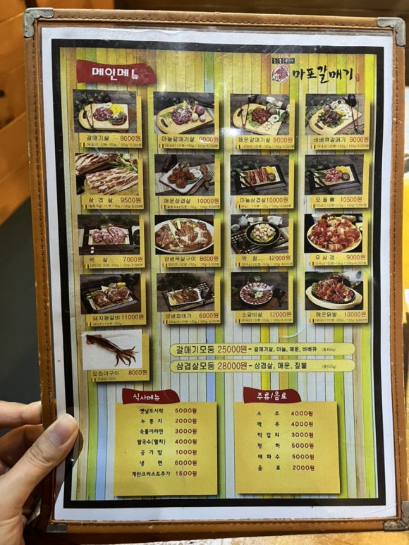 선운갈매기 이미지