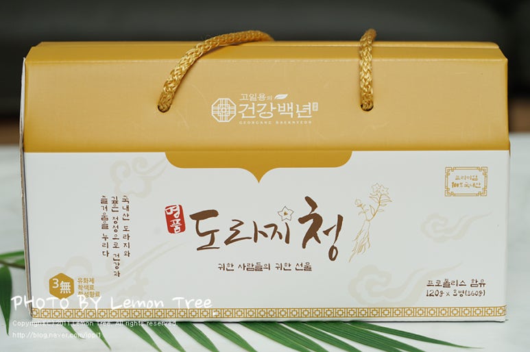고일용의건강백년 이미지