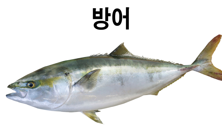 성진수산 이미지