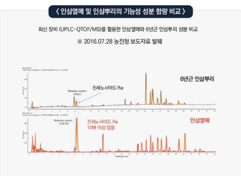 천년인삼 이미지