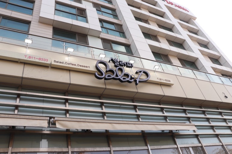 샐러피 이미지