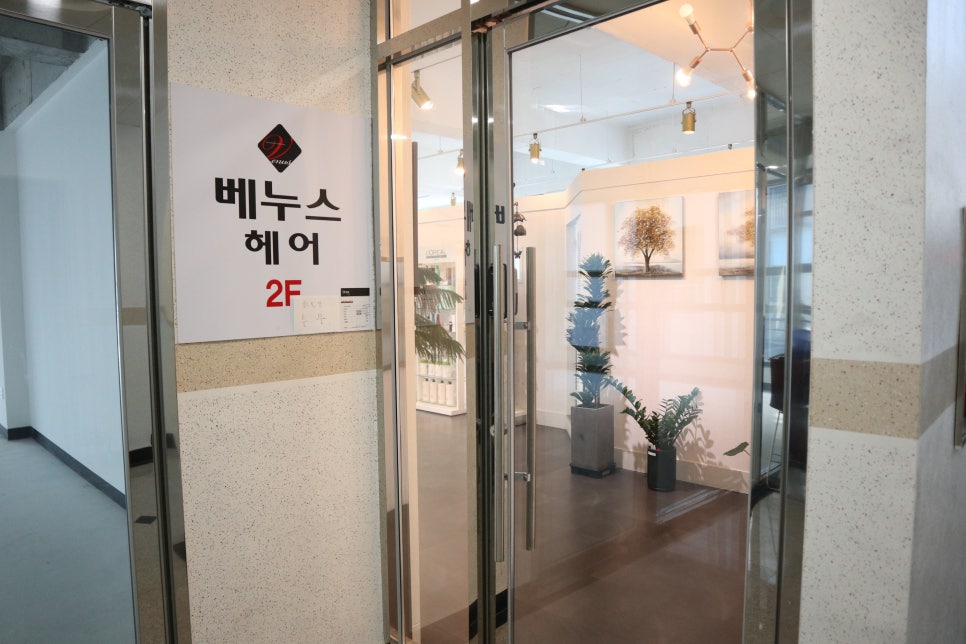 베누스헤어 이미지