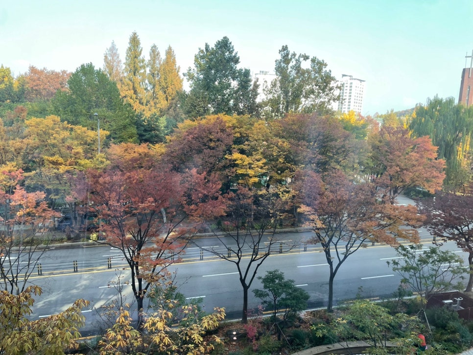 효성치과의원 이미지