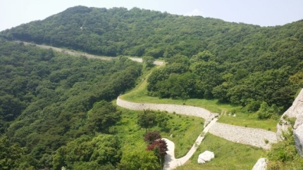 문화의 숲 이미지