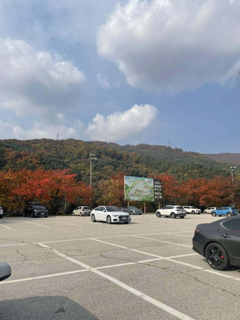 피맥월드 이미지